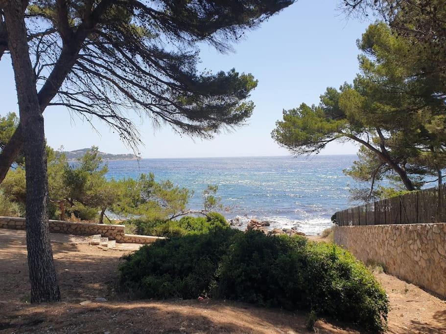 Les Geraniums, Bel Appartement Renove, Proche Plage Et Commerces La Seyne-sur-Mer Exterior foto